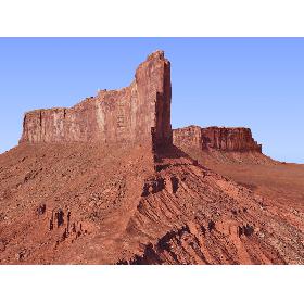 Puffer Fish 3D model